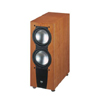 Сабвуфер ELAC SUB 501 ESP